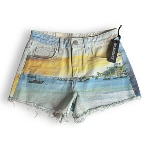 Blank NYC The Barrow Vintage High Rise Cut Off Denim Shorts Multi-Color Size 26